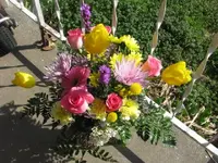 291.webp