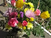 292.webp