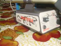 pantera2.webp