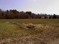 field.webp
