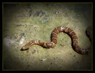 l_161287b4f9314e1688935c022818aa2e.webp