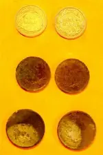 pocket reverse.webp