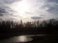 Campics005.webp
