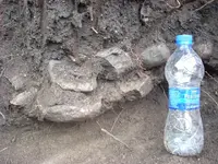 DSCN0130.webp