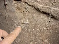 DSCN0104.webp
