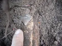 DSCN0122.webp