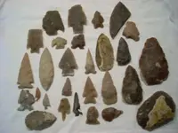 DSCN0144.webp