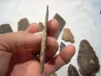 DSCN0149.webp