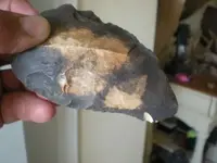DSCN3217.webp