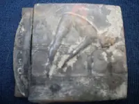 DSCN0167.webp