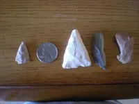 DSCN3219.webp