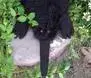 avatar_52589.webp