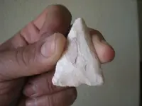 DSCN3220.webp