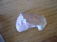 DSCN3222.webp