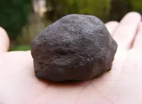 DSCF8254.webp