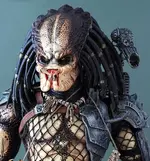 450_predator.webp