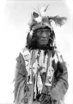 Francois Dead Horse - Flathead - 1906.webp