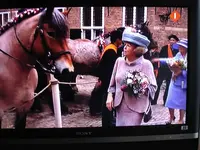 Koninginnedag 2010 008.webp