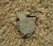 IMG_7176_2.webp