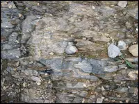 see77A.webp