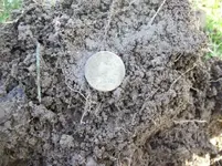 APRIL 3RD OLD CHURCH GROUNDS HUNT 002 [].webp