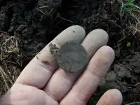APRIL 3RD OLD CHURCH GROUNDS HUNT 009 [].webp