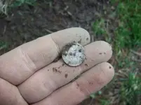 APRIL 3RD OLD CHURCH GROUNDS HUNT 011 [].webp