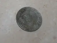 coin.webp
