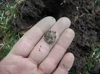 APRIL 3RD OLD CHURCH GROUNDS HUNT 012 [].webp