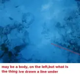 body and pole thing.webp
