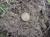 APRIL 3RD OLD CHURCH GROUNDS HUNT 014 [].webp