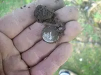 APRIL 3RD OLD CHURCH GROUNDS HUNT 015 [].webp