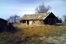 homestead2.webp