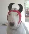 avatar_16358.webp