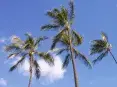 avatar_14567.webp