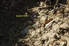 April10-2010BottleBuckleGround.webp