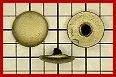 StudFlavestsm[1].webp
