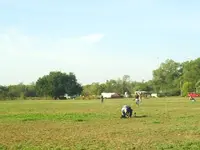 SSCA0235.webp