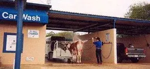 ONLY_IN_TEXAS-LEGENDS.webp