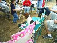 SSCA0240.webp