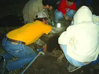 SSCA0243.webp