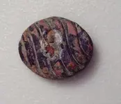 DSCN2889.webp
