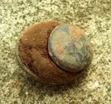 button2.webp