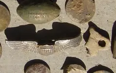 Sat 925 Silver WIng Find.webp