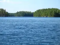 scena1.webp