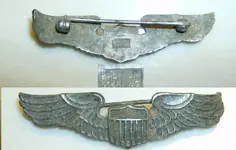 WIng Badge.webp