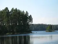 scena2.webp