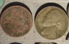 Sat Finds Buff Nickle and War Nickle.webp