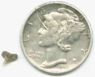 TinyTooth.webp