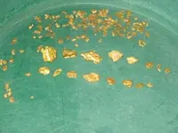 GOLD%20in%20my%20pan_1156190569175516008.webp